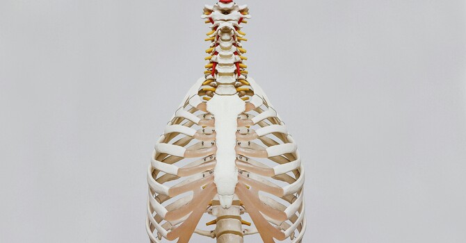 The Thoracic Ring Approach